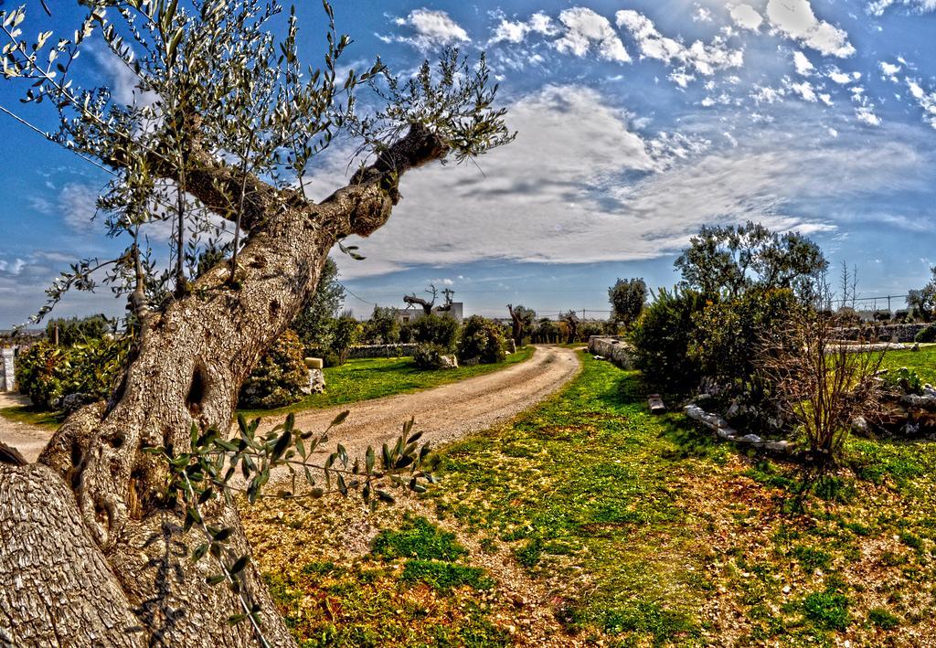 Masseria Rosa Trulli Relais Альберобелло Экстерьер фото